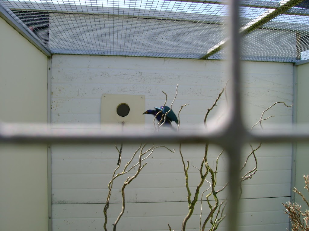 OTT 2010 NK + vogel 2010 192.jpg