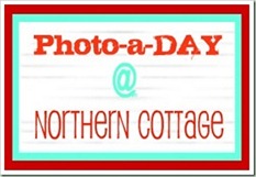 photo-a-day632