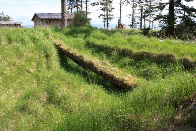 [IMG_57431280x8534.jpg]