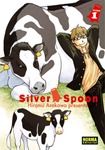 silver_spoon1