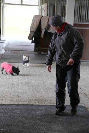 Hey, Betsy!  Are you busy?  We want to DANCE!