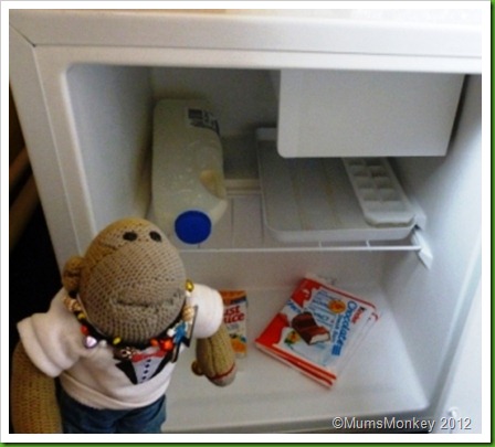 Astor College London Room Fridge