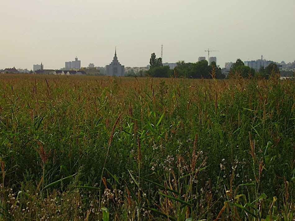 P8140202.JPG