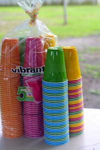 Graduation Party 007-001