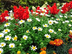 CAM09153 CAM09153