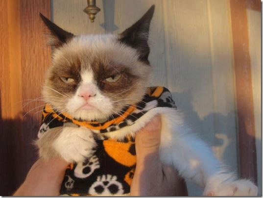 funny-animals-cute-29