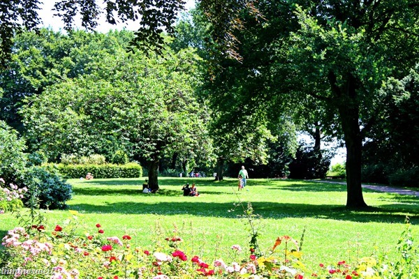sommer15.jpg sommer15.jpg