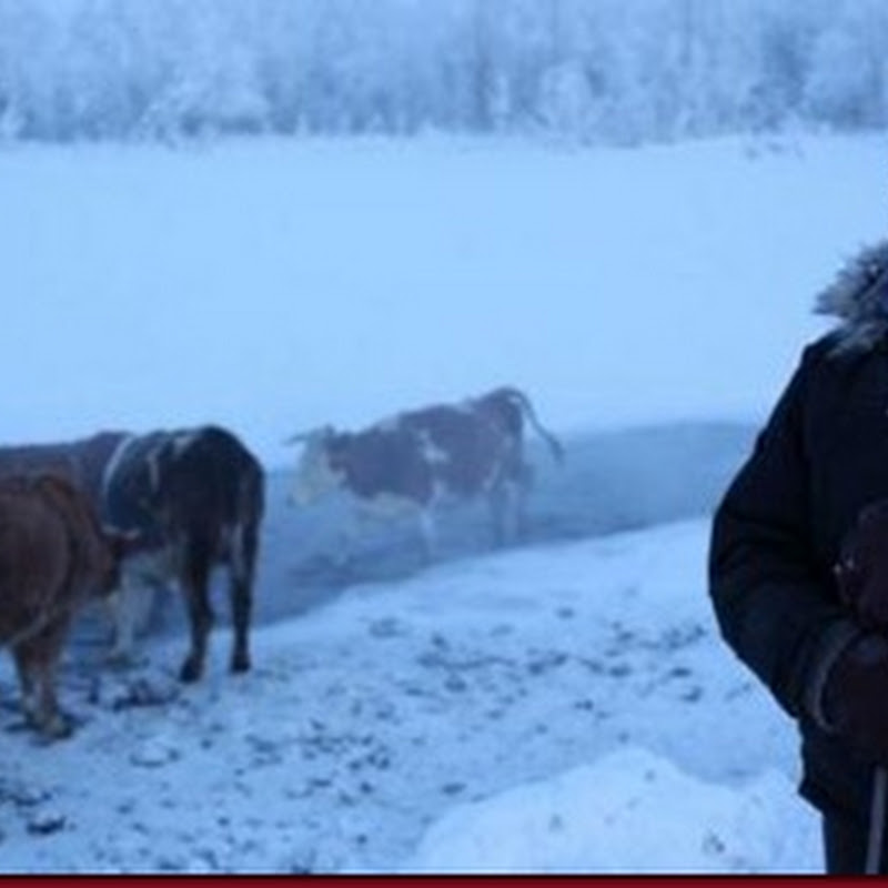 Desa Khusus Pria Tanpa Wanita Di Rusia