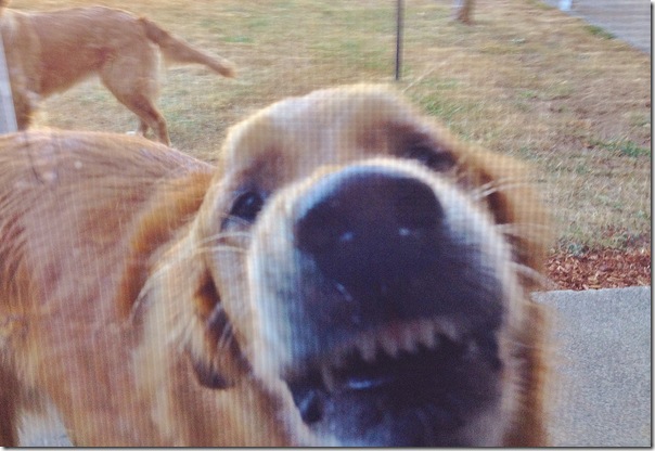 WallySmile2 WallySmile2