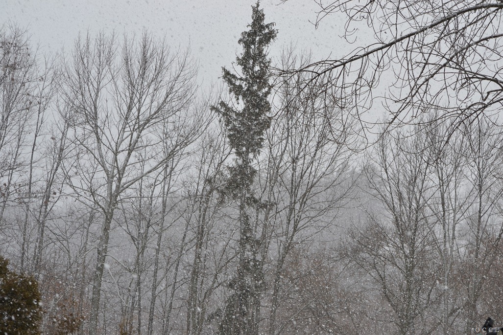 [DSC_4307%255B3%255D.jpg]