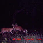 MDGC0001.JPG