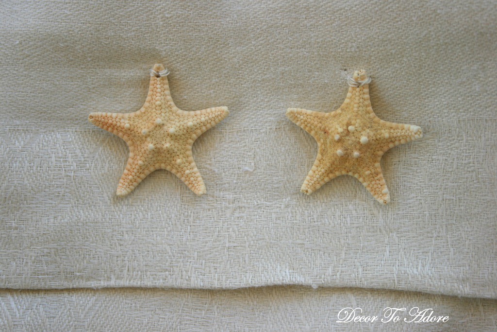 [seashells%2520024%255B4%255D.jpg]