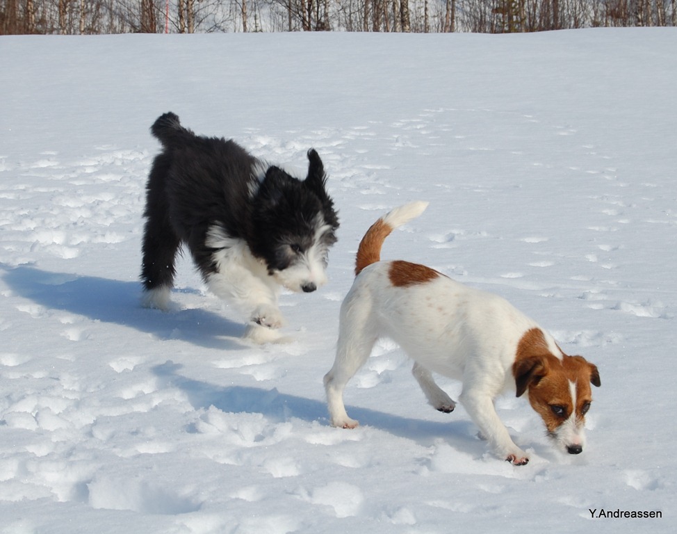 [DSC_0724%255B5%255D.jpg]
