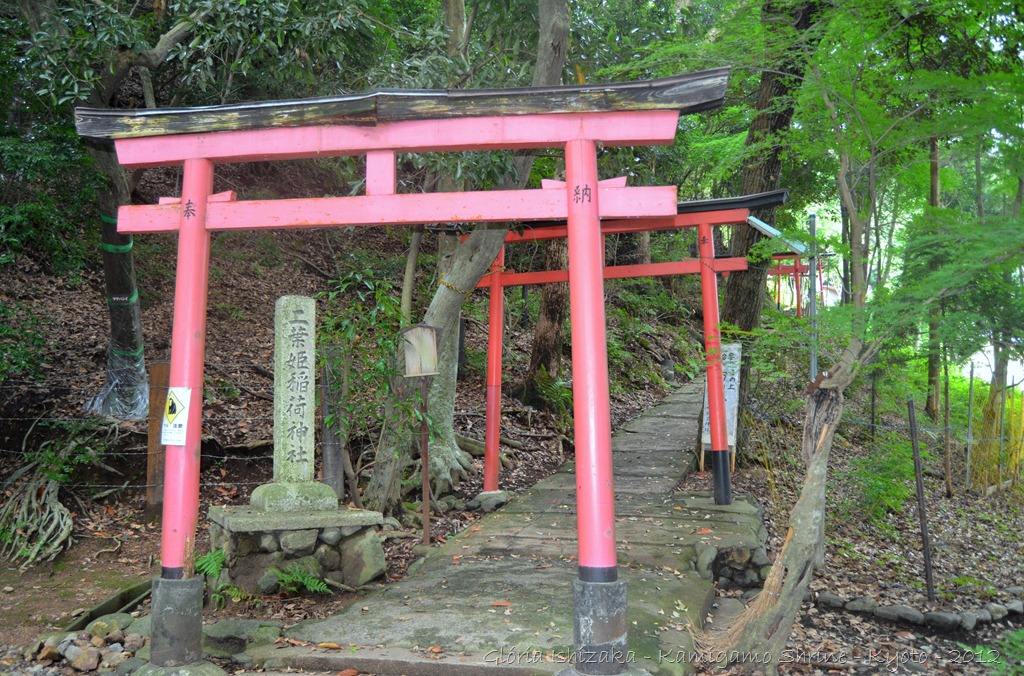 [Glria-Ishizaka---Kamigamo-Shrine---K%255B82%255D.jpg]