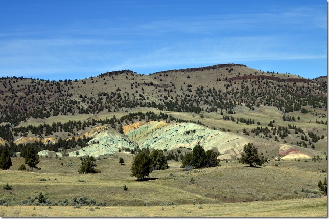 DSC_0060