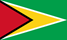 500px-Flag_of_Guyana.svg_thumb[3]
