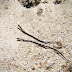 P7105563