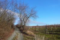 P1090775.JPG