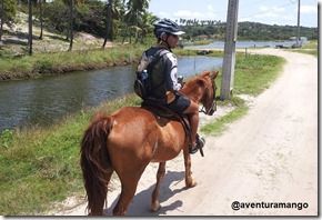 Cavalgada 2 Cavalgada 2