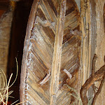 1430-4.JPG