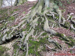 IMG_0060