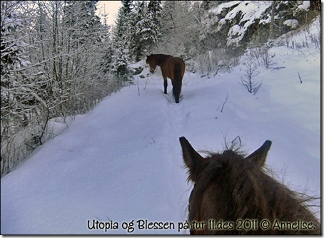 utopia-tur-11des_01
