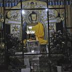 DSC_7800.jpg