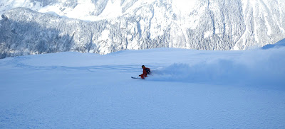 Freerideschule Disentis 1/2011
