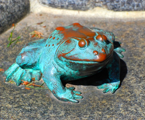 4. Frog-kab