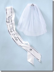 bride sash and veil bride sash and veil