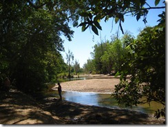IMG_6095 IMG_6095