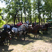 08_szuretibal_005.jpg