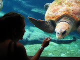 South Africa - 078.JPG