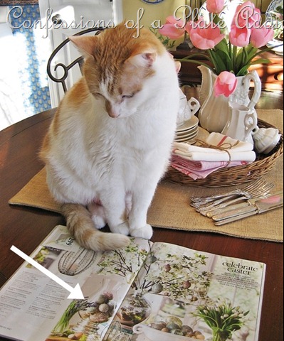 [CONFESSIONS%2520OF%2520A%2520PLATE%2520ADDICT%2520Baby%2520Kitty2%255B6%255D.jpg]