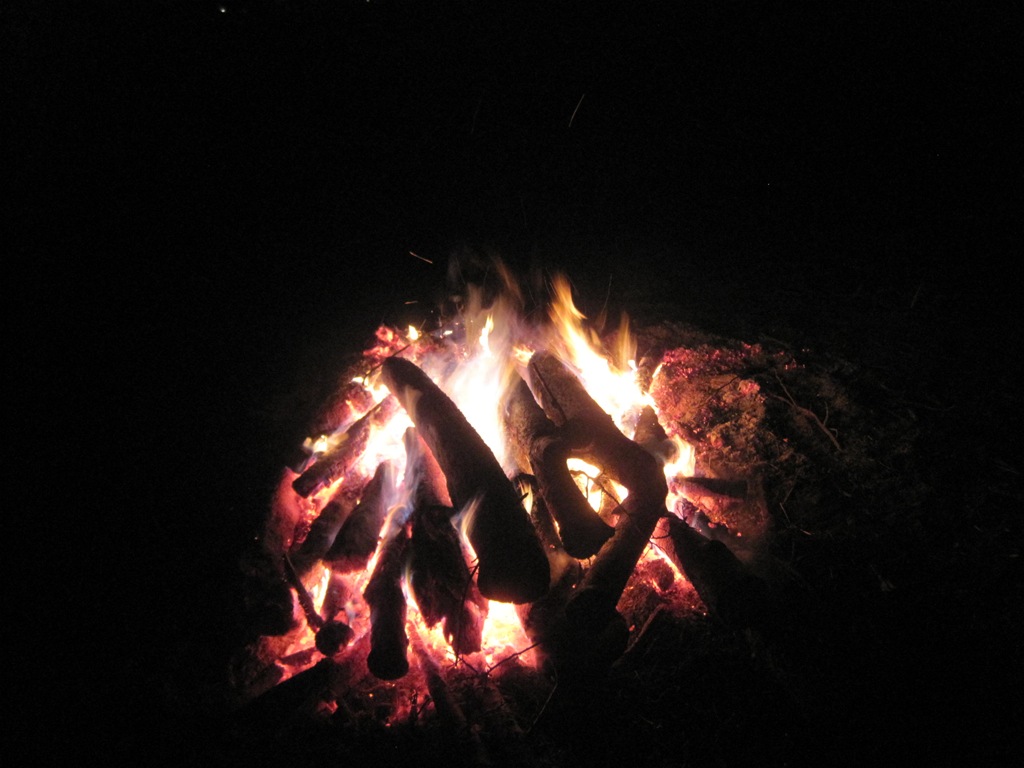 [IMG_8805%255B4%255D.jpg]