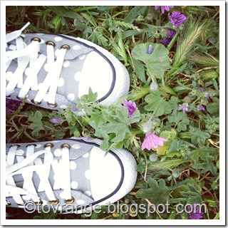converse med prikker kule converse