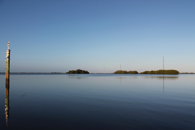 [IMG_17865.jpg]