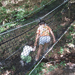 IMG_0080.JPG