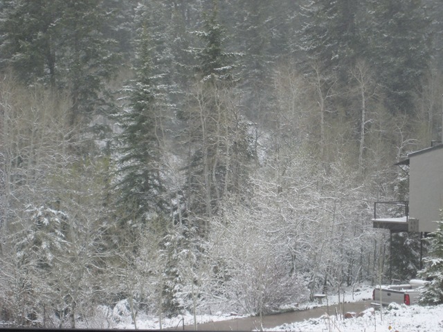 [IMG_6498%255B3%255D.jpg]