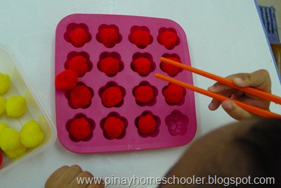 Practical Life Activities