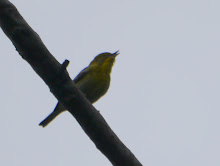 P1040401