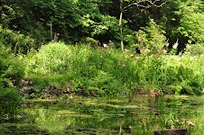 DSC_1765.JPG