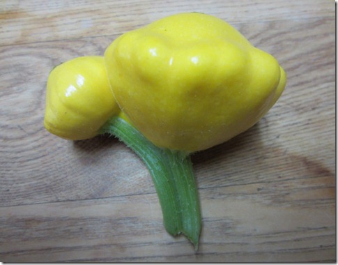 A twin Sunburst patty pan