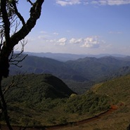 Gandarela