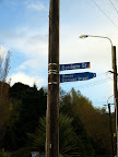 Visit to Baldwin Street, the worlds steepest street, according to Guinness book of record.