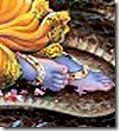 [Vishnu's lotus feet]