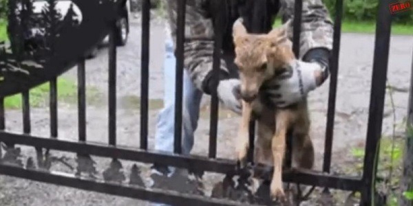Gifs animados com sons ficam muito mais legais #3 Gifs animados com sons ficam muito mais legais #3