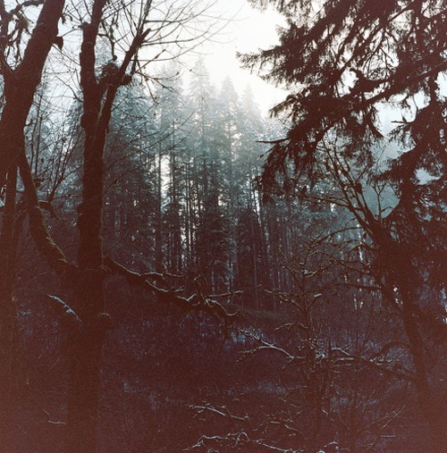 [tumblr_lr83fjte9p1qg1repo1_500%255B4%255D.jpg]