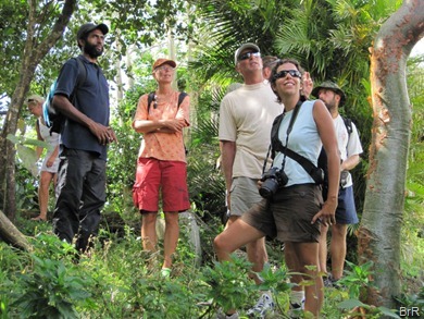 Kingstown_die_Wandergruppe Kingstown_die_Wandergruppe