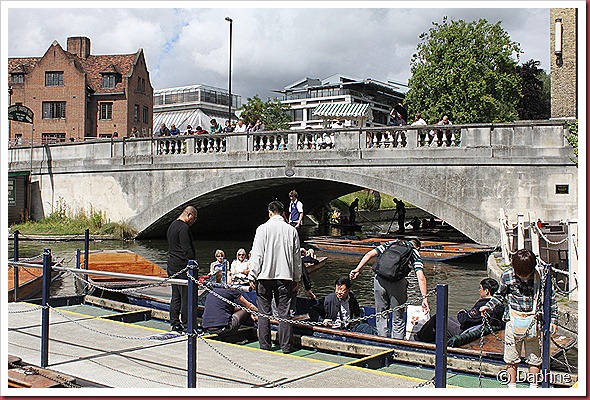 IMG_7371 IMG_7371